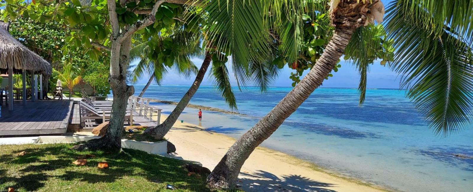 Moorea Island Beach Hotel Luaran gambar