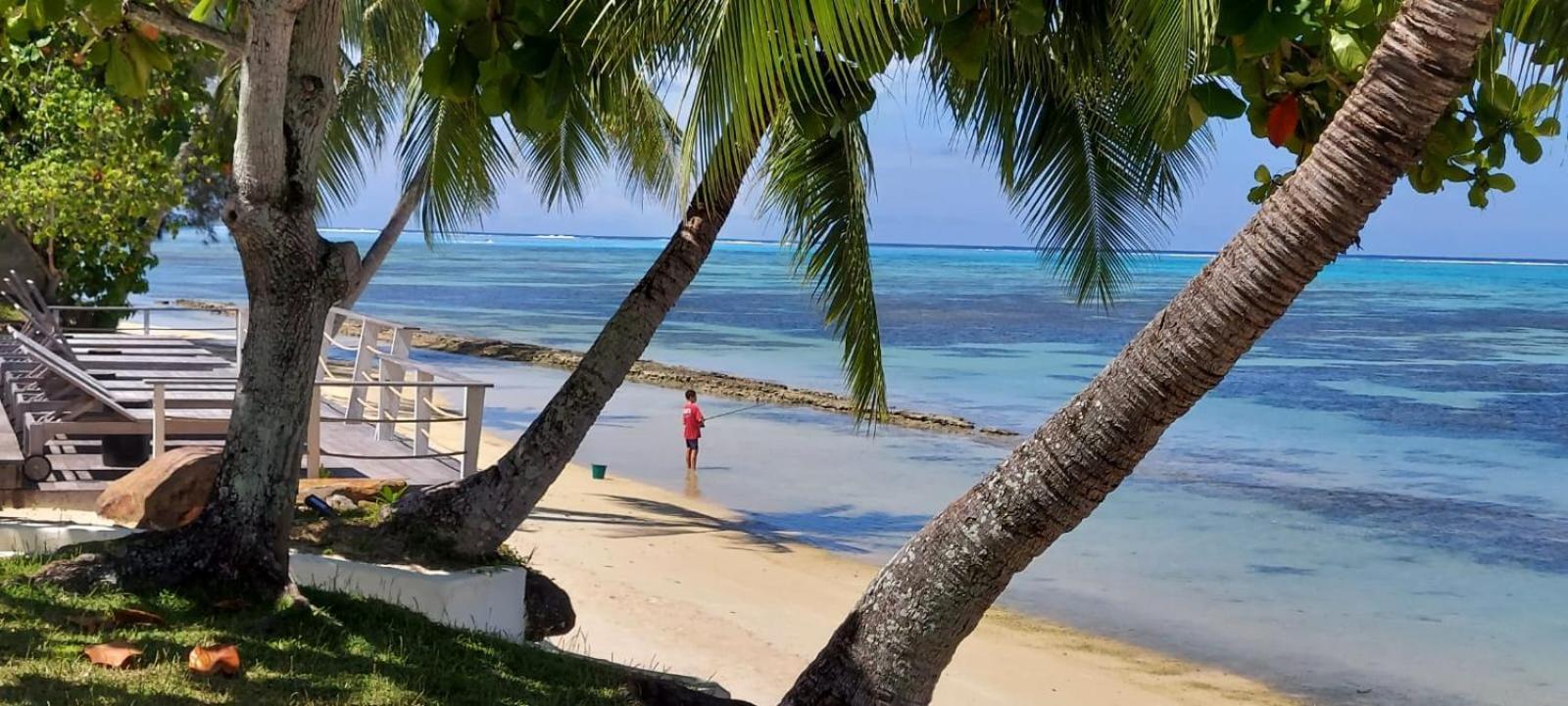 Moorea Island Beach Hotel Luaran gambar
